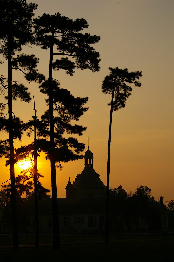 Le Donjon de Ste Genevieve-des-Bois: Le Donjon 012